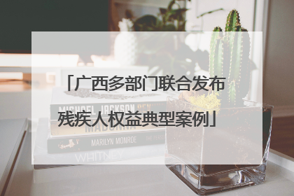 广西多部门联合发布残疾人权益典型案例