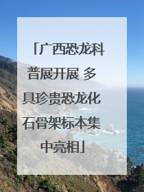 广西恐龙科普展开展 多具珍贵恐龙化石骨架标本集中亮相