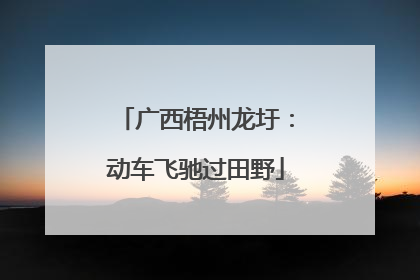 广西梧州龙圩：动车飞驰过田野