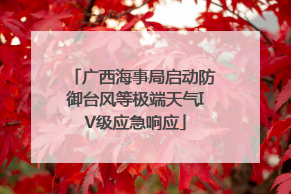 广西海事局启动防御台风等极端天气IV级应急响应
