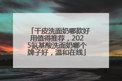 干皮洗面奶哪款好用值得推荐，2025氨基酸洗面奶哪个牌子好，温和在线