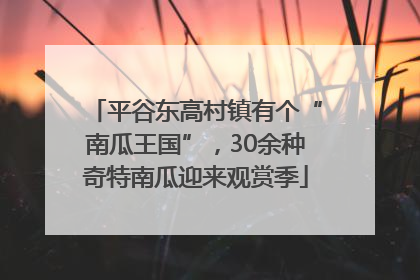 平谷东高村镇有个“南瓜王国”，30余种奇特南瓜迎来观赏季