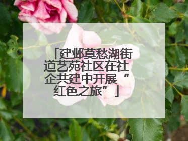 建邺莫愁湖街道艺苑社区在社企共建中开展“红色之旅”