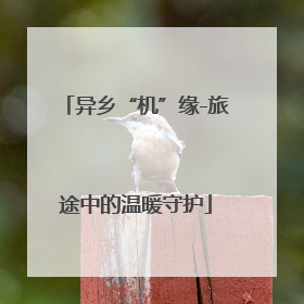 异乡“机”缘-旅途中的温暖守护