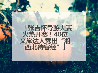 张吉怀导游大赛火热开赛！40位文旅达人秀出“湘西北待客经”