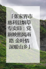 张家界市慈利县烟草专卖局：党旗映照风雨路 金叶情深暖山乡