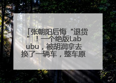 张朝阳后悔“退货”！一个绝版Labubu，被胡润拿去换了一辆车，整车原价值上百万元