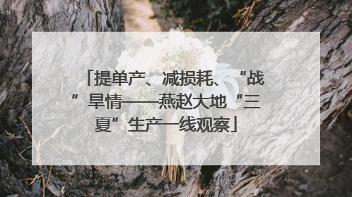 提单产、减损耗、“战”旱情——燕赵大地“三夏”生产一线观察