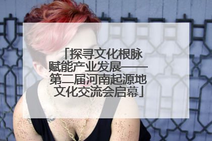 探寻文化根脉 赋能产业发展——第二届河南起源地文化交流会启幕