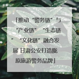 推动“警务链”与“产业链”“生态链”“文化链”融合发展 甘肃公安打造陇原旅游警务品牌