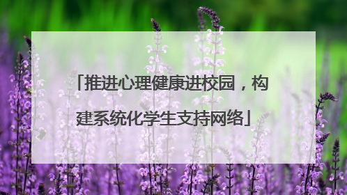 推进心理健康进校园，构建系统化学生支持网络