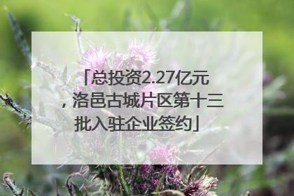 总投资2.27亿元，洛邑古城片区第十三批入驻企业签约