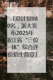 总计划980名，浙大发布2025年浙江省“三位一体”综合评价招生简章