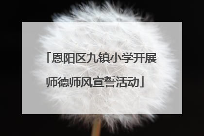 恩阳区九镇小学开展师德师风宣誓活动