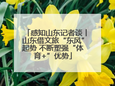 感知山东记者谈丨山东借文旅“东风”起势 不断塑强“体育+”优势