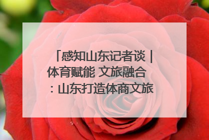 感知山东记者谈｜体育赋能 文旅融合：山东打造体商文旅融合发展新格局