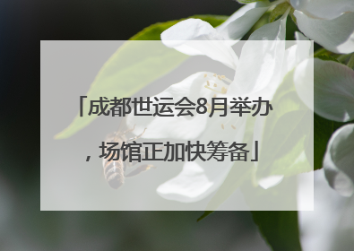 成都世运会8月举办，场馆正加快筹备