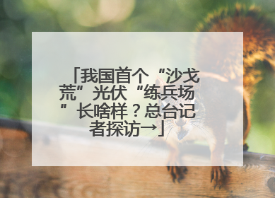 我国首个“沙戈荒”光伏“练兵场”长啥样？总台记者探访→