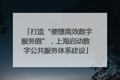打造“便捷高效数字服务圈”，上海启动数字公共服务体系建设