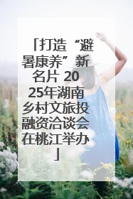 打造“避暑康养”新名片 2025年湖南乡村文旅投融资洽谈会在桃江举办