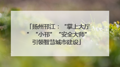 扬州邗江：“掌上大厅”“小邗”“安全大师”引领智慧城市建设