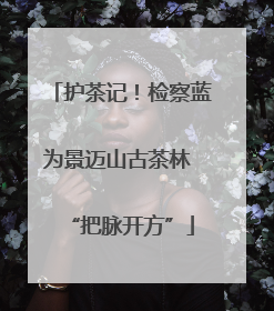 护茶记！检察蓝为景迈山古茶林 “把脉开方”