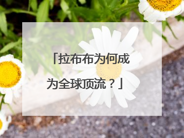 拉布布为何成为全球顶流？