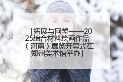 拓展与回望——2025综合材料绘画作品（河南）展览开幕式在郑州美术馆举办