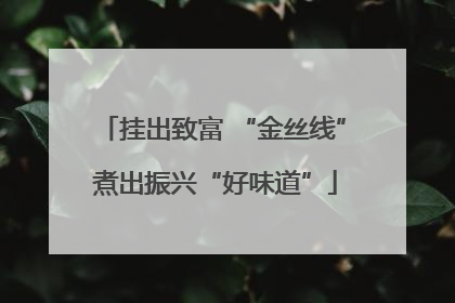 挂出致富 “金丝线” 煮出振兴“好味道”