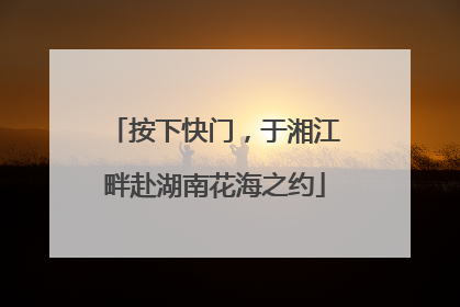 按下快门，于湘江畔赴湖南花海之约