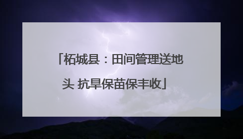 柘城县：田间管理送地头 抗旱保苗保丰收