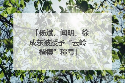 杨斌、闻明、徐成东被授予“云岭楷模”称号