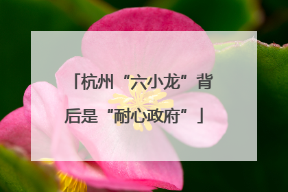 杭州“六小龙”背后是“耐心政府”