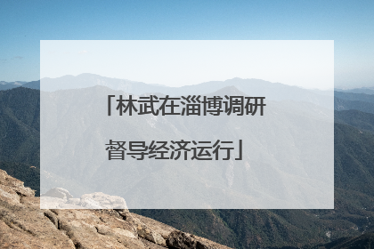 林武在淄博调研督导经济运行