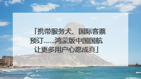 携带服务犬、国际客票预订……鸿蒙版中国国航让更多用户心愿成真
