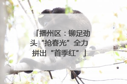 播州区：铆足劲头“抢春光”全力拼出“首季红”