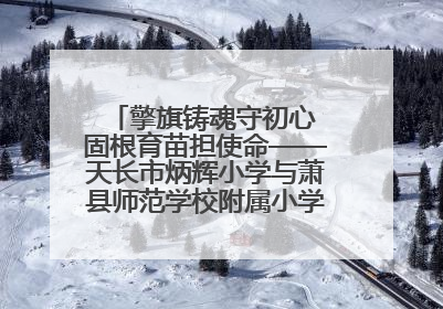擎旗铸魂守初心 固根育苗担使命——天长市炳辉小学与萧县师范学校附属小学结对共建活动纪实