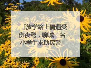 放学路上偶遇受伤夜鹭，聊城三名小学生求助民警