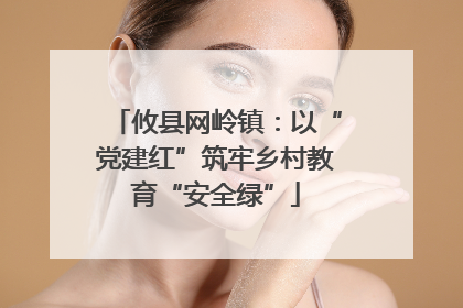 攸县网岭镇：以“党建红”筑牢乡村教育“安全绿”