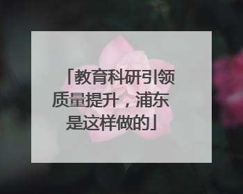 教育科研引领质量提升，浦东是这样做的