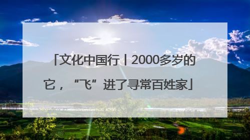 文化中国行丨2000多岁的它，“飞”进了寻常百姓家