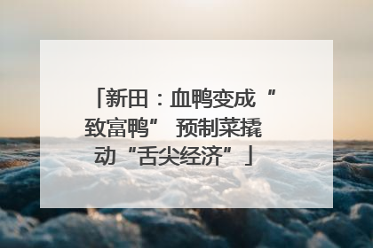 新田：血鸭变成“致富鸭” 预制菜撬动“舌尖经济”