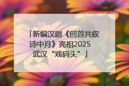 新编汉剧《回首共叙诗中月》亮相2025武汉“戏码头”