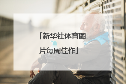 新华社体育图片每周佳作