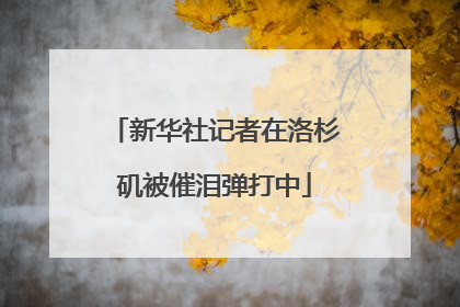 新华社记者在洛杉矶被催泪弹打中
