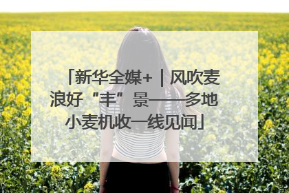 新华全媒+｜风吹麦浪好“丰”景——多地小麦机收一线见闻