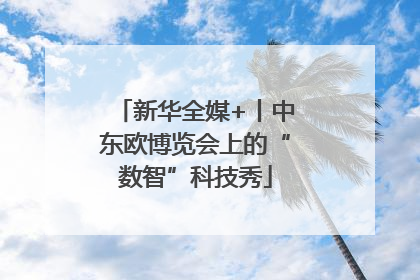 新华全媒+丨中东欧博览会上的“数智”科技秀
