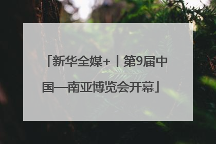 新华全媒+丨第9届中国—南亚博览会开幕