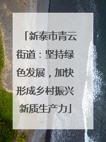 新泰市青云街道：坚持绿色发展，加快形成乡村振兴新质生产力