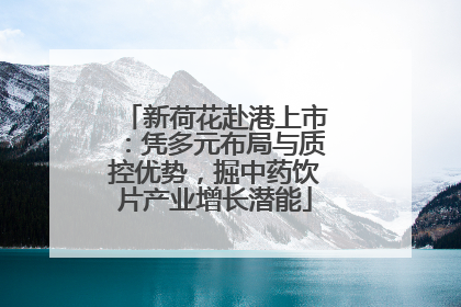 新荷花赴港上市：凭多元布局与质控优势，掘中药饮片产业增长潜能
